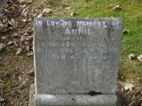 image of grave number 196392